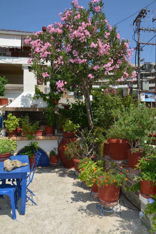 Traditional Summer House In Marmari Marmari  Exterior foto
